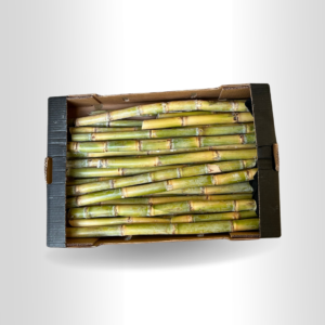 Fresh Sugarcane type Brazilian 10kg per Box