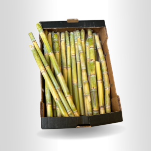 Fresh sugarcane type Brazilian 20kg per Box