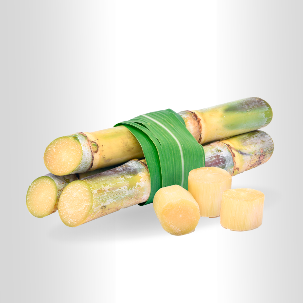 fresh-sugarcane-4-00-per-1-kilo-brascane-sugarcane-supplier