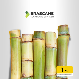 Fresh Sugarcane £4.00 per 1 kilo